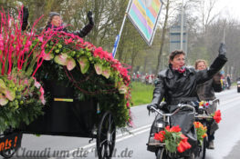 Blumencorso durch den Bollenstreek