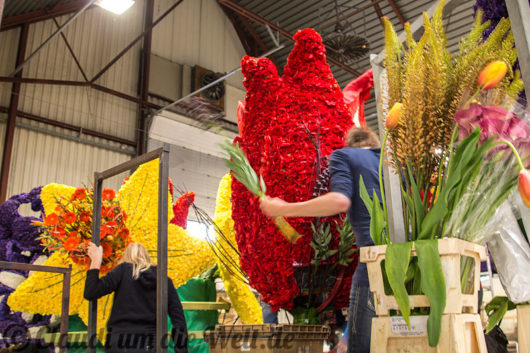 Sassenheim Blumencorso Vorbereitung