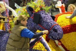 Sassenheim Blumencorso Vorbereitung
