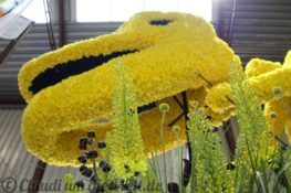 Holland Bollenstreek Blumencorso