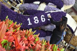 Sassenheim Blumencorso Vorbereitung