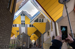 Rotterdam Kubushäuser