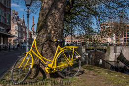 Gelbes Fiets