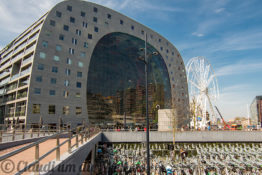 Rotterdam Markhalle