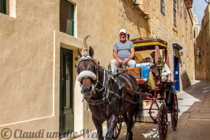 Malta Mdina Pferdekutsche