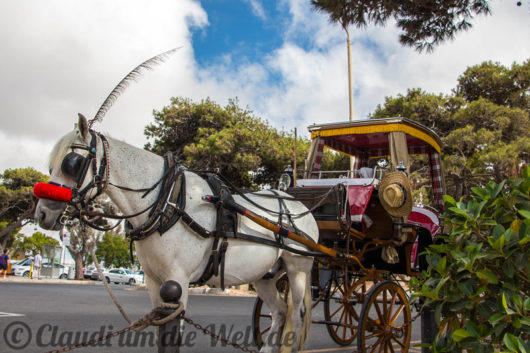 Malta Pferdekutsche