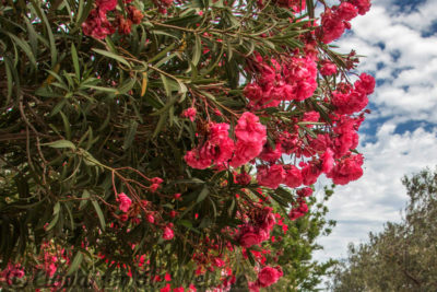Upper Barrakka Gardens, Valletta