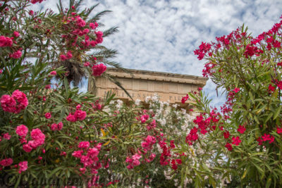 Upper Barrakka Gardens, Valletta