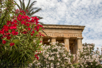 Malta Valletta Upper Barrakka Gardens