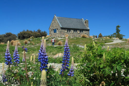 neuseeland_suedinsel_7416