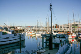 Kleiner Jachthafen an einem der Piers
