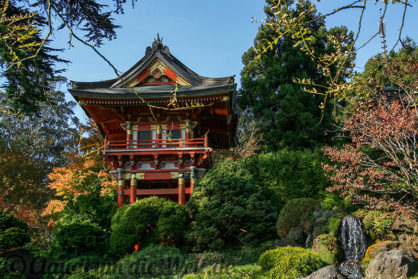 Japanischer Garten im Golden Gate Park